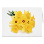 Yellow Daffodils - Personalizable Easter Card cards