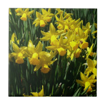 Yellow Daffodils Tile