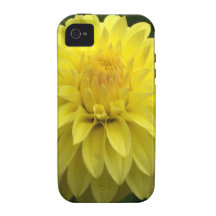 Yellow Dahlia On multiple Products iPhone 4/4S Cases