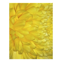 Yellow Dahlia petals Custom Letterhead