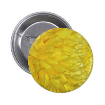 Yellow Dahlia petals Pinback Button
