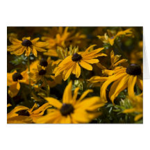 Yellow Daises Card