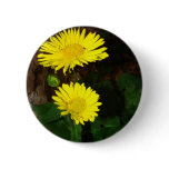 Yellow Daisies buttons