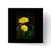 Yellow Daisies Pins
