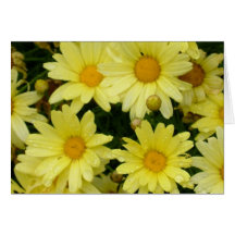 yellow daisies greeting card