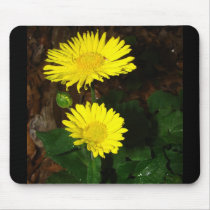 Yellow Daisies Mouse Pad