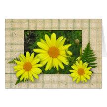 Yellow Daisies Note Card