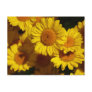 Yellow Daisies Post Card