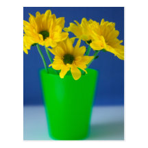 Yellow Daisies Postcard
