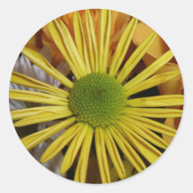Yellow Daisies Round Sticker