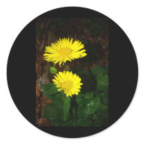 Yellow Daisies Sticker