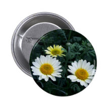 Yellow Daisy Button