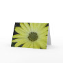Yellow Daisy Postcard