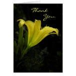 Yellow Day Lily Thank You Card