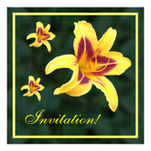 Yellow Daylily Flower with Red, Hemerocallis: Invitations