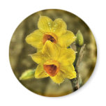 Yellow Delight Magnet