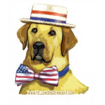 Yellow Dog Colour Shirt