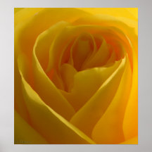 Yellow Dreamy Rose Print