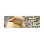 Yellow Duckling Address labels