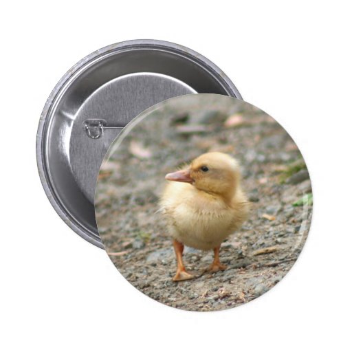 Yellow Duckling button