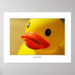 Yellow Ducky Print