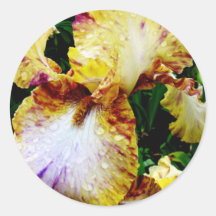 Yellow Edged Round Sticker