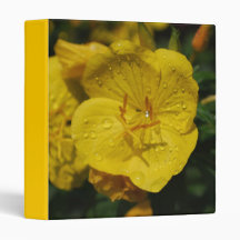 Yellow Evening Primrose Binder