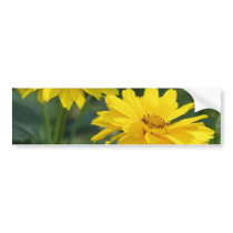 Yellow False Sunflowers Bumper Stickers