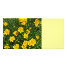 Yellow floral photo cards