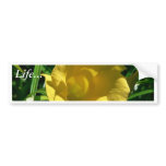 Yellow Flower And Sharp Leaves bumper stickers