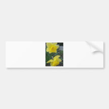 Yellow Flower Bumper Stickers