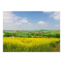 Yellow Flower Fields Overlooking Warburg Germany Custom Invites