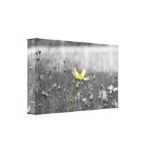 Yellow Flower Gallery Wrapped Canvas