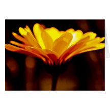 Yellow Flower Greeting Card
