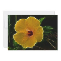 Yellow Flower Hibicus