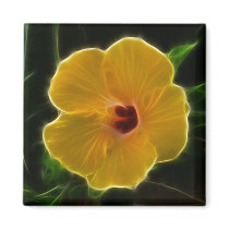 Yellow Flower Hibicus