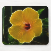 Yellow Flower Hibicus