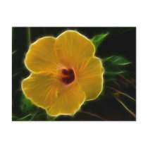 Yellow Flower Hibicus