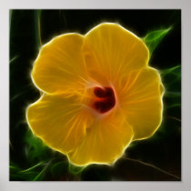 Yellow Flower Hibicus