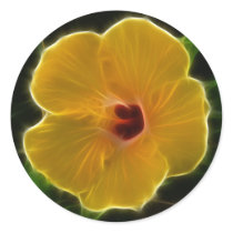 Yellow Flower Hibicus
