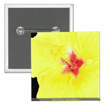 Yellow flower, hybrid hibiscus pins