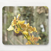 Yellow Flower II Mouse Pads