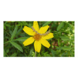 Yellow Flower In the Grass Photo Cards