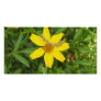 Yellow Flower In the Grass Photo Cards