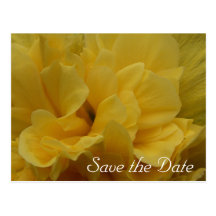 Yellow Flower Petals Save the Date Postcard