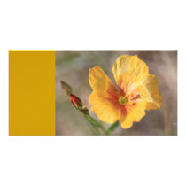 Yellow Flower Photo Card