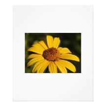 Yellow flower photo print