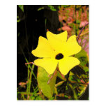 Yellow Flower Post Card