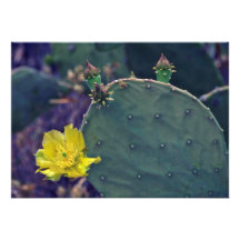 Yellow-Flower Prickly Pear Cactus flowers Personalized Invite