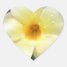 Yellow Flower Sticker